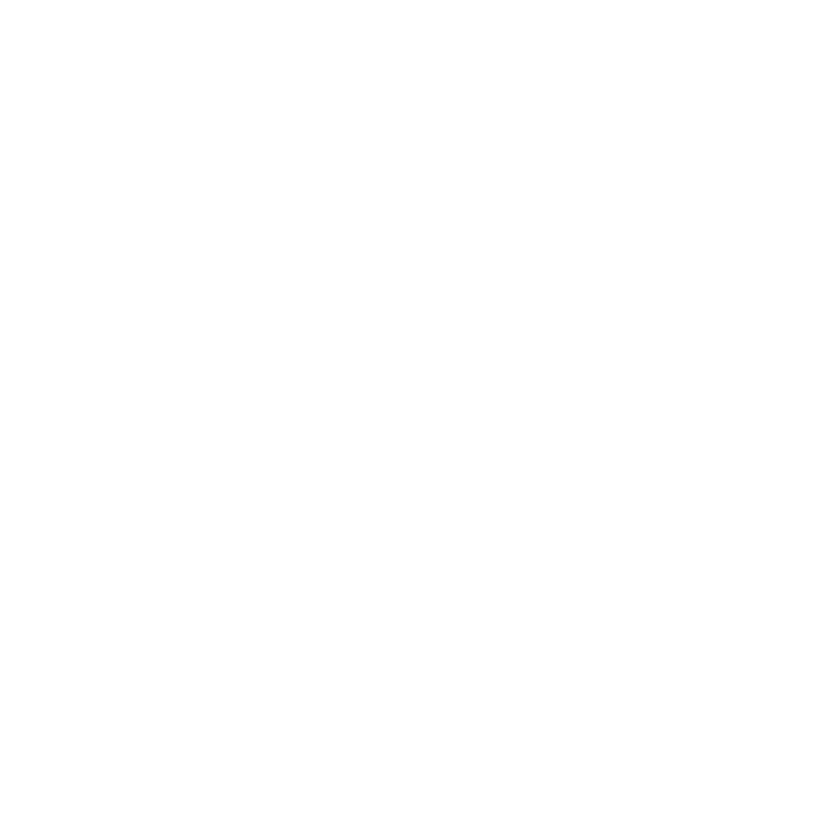 Duan Studio Logo